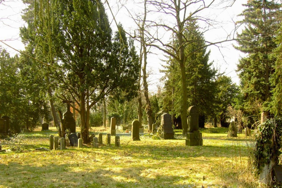 Leben auf dem Friedhof
