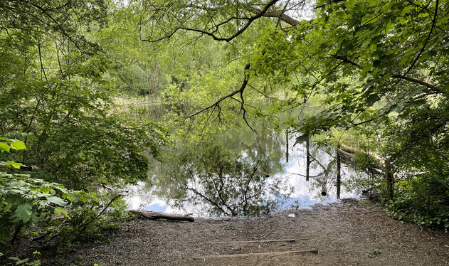 Vorschaubild Blaue Perlen