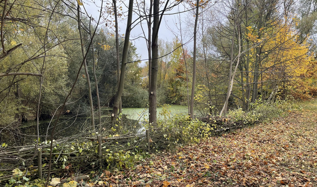 Vorschaubild Berliner Kleingewässer