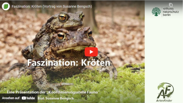 Screenshot Faszination Kröten