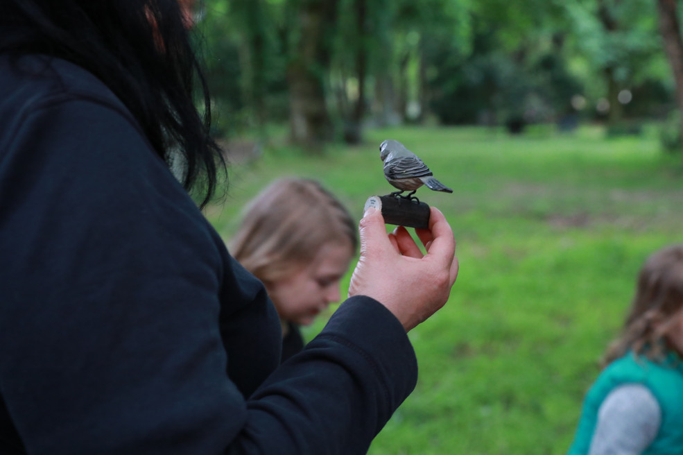 Be the first bird