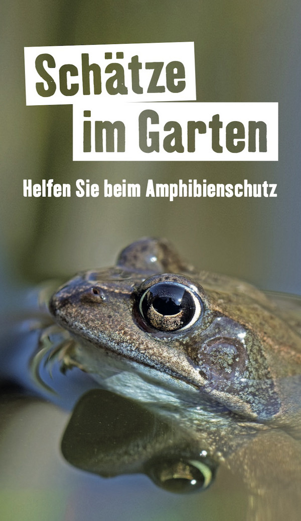 Titelbild Flyer "Schätze im Garten"
