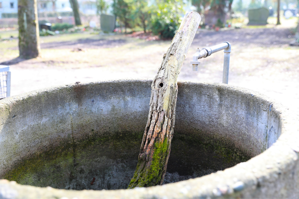 Leben auf dem Friedhof