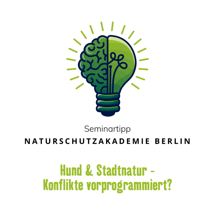 Titelbild Seminar Naturschutzakademie