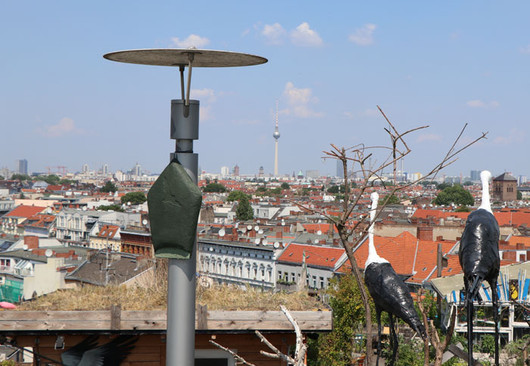 Fledermäuse im Kiez Pfandbon-Aktion