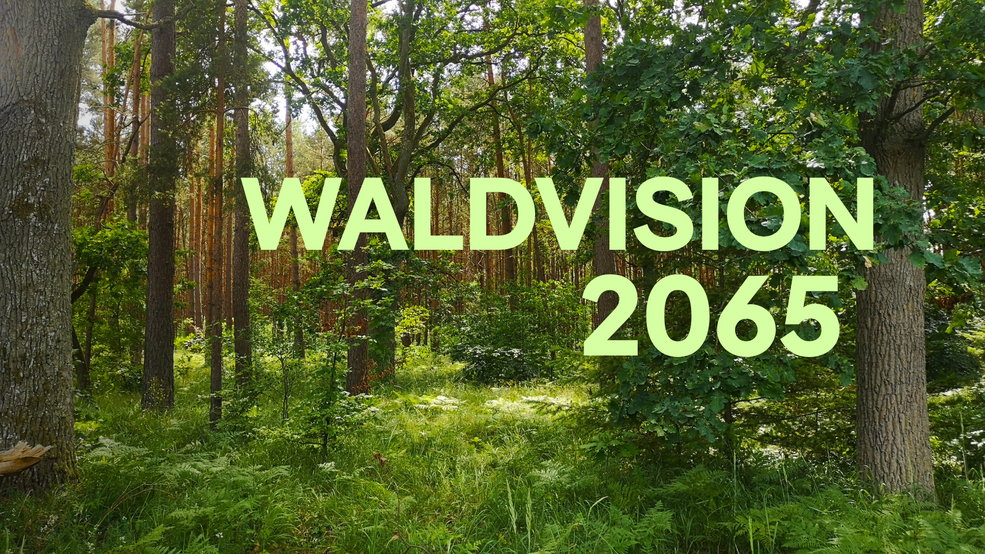 Waldvision 2065