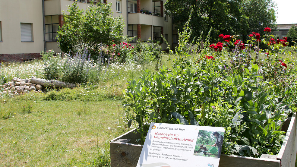 Erfolgsgeschichte Vielfalt Leben