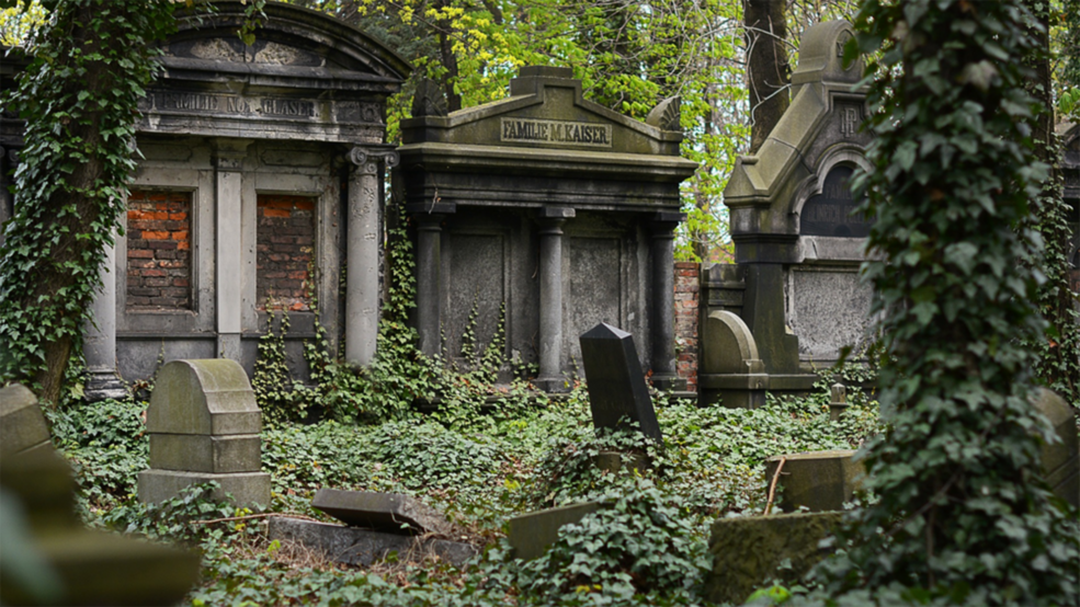 Vorschaubild: Leben auf dem Friedhof