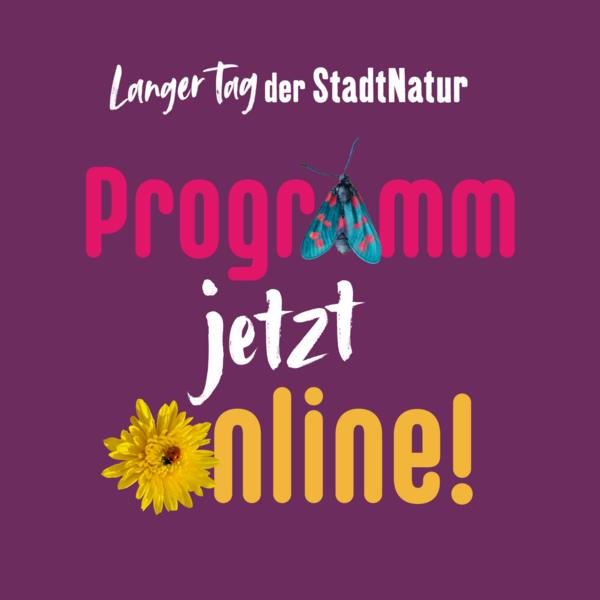 Vorschaubild Pressemitteilung - Programm online