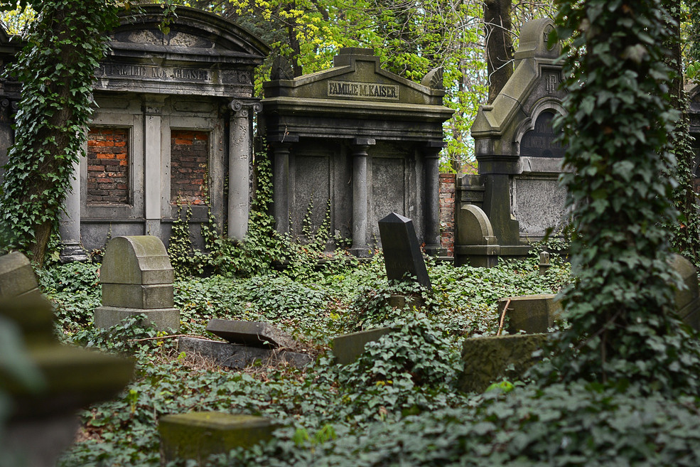 Leben auf dem Friedhof