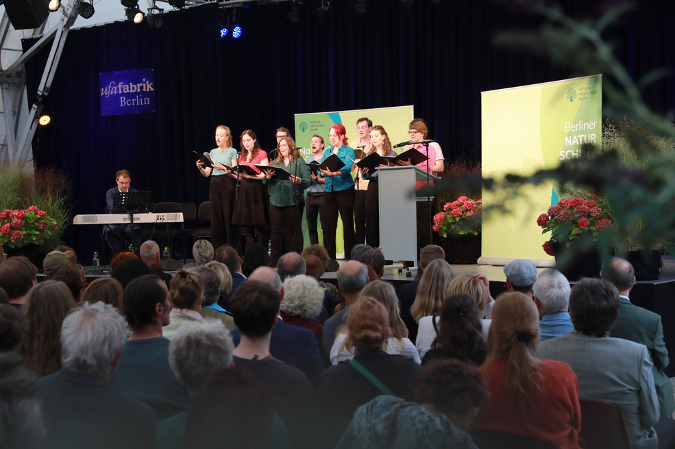 Musical-Ensemble Stageink