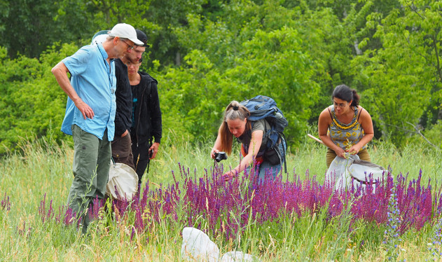 Vorschaubild ArtenKenner