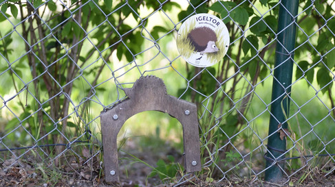 Igeltor mit Kennzeichnung