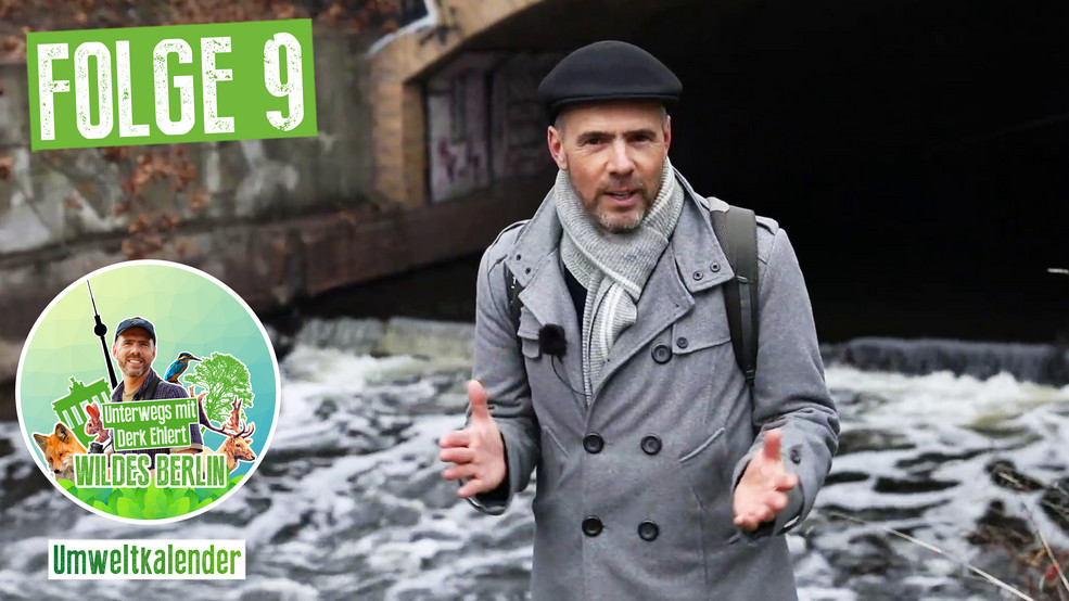 Derk Ehlert an der Panke im Wedding