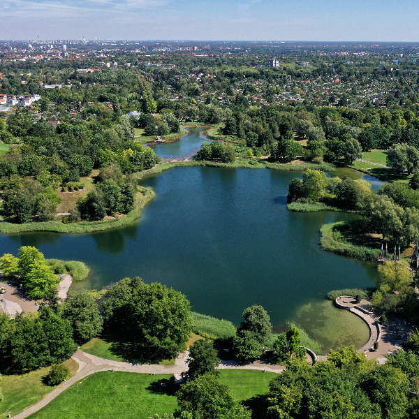 Der Britzer Garten aus der Luft. Ein Teich umgeben von Bäumen und Wiese. Am Horizont ist die Silhouette der Stadt zu sehen.
