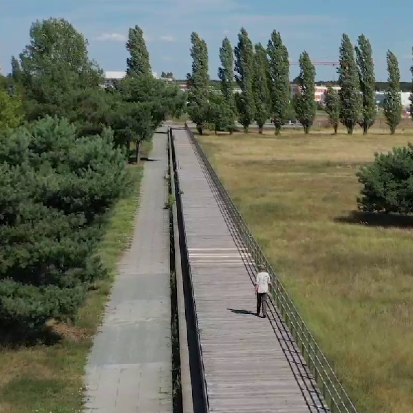 Eine Person läuft auf dem künstlichen Weg auf einem ehemaligen Flugplatz, zwischen Wiese und Bäumen.