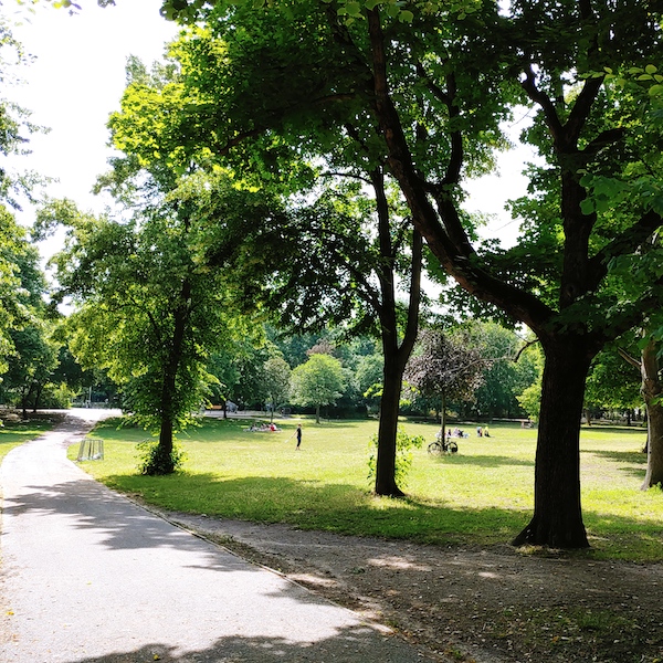 Blick auf einen Pfad im Volkspark Friedrichshain