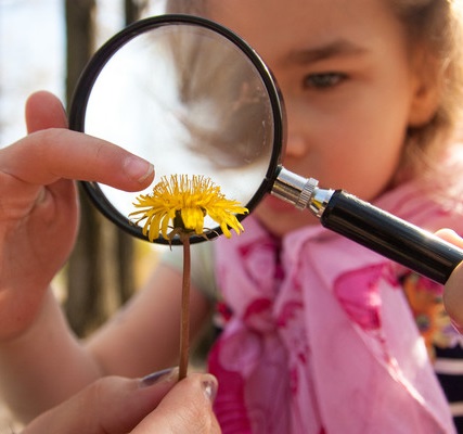 Langer Tag der Stadtnatur Pressebild